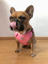 Arnes Doble Agarre Rosa